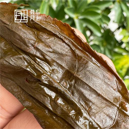 无量山古树晒红头春  红茶  口感顺滑  茶香浓郁 商品图6