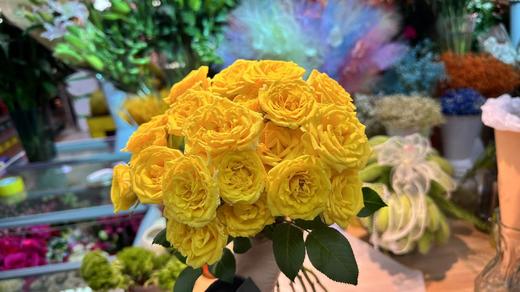 柠檬泡泡多头玫瑰5支 商品图0