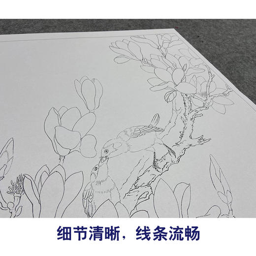 周中耀工笔画白描底稿兰花《红玉兰》临摹勾线高清打印稿ZT08 商品图4