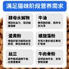 麦斯蒂全阶段500克、1斤精包装猫粮 宠物猫粮全期通用型鲜肉深海鱼+鸡肉配方 整箱=40袋 商品缩略图5