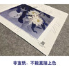 周中耀工笔画白描底稿昙花《影逐情浓》小品临摹勾线高清打印稿ZT17 商品缩略图2
