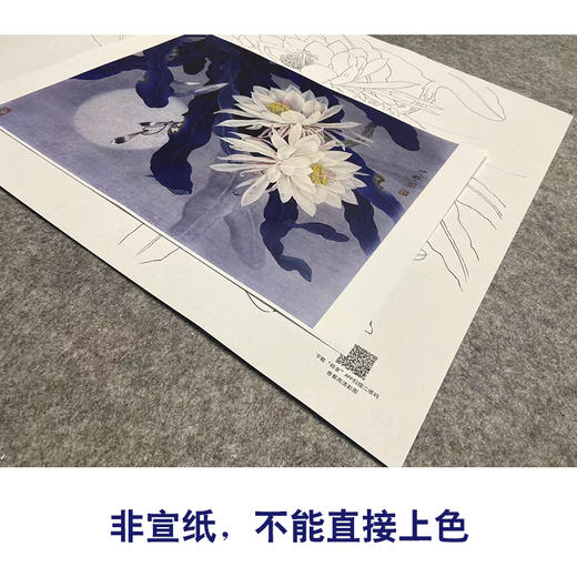 周中耀工笔画白描底稿昙花《影逐情浓》小品临摹勾线高清打印稿ZT17 商品图2