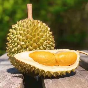 托曼尼巴掌榴莲（2斤左右）