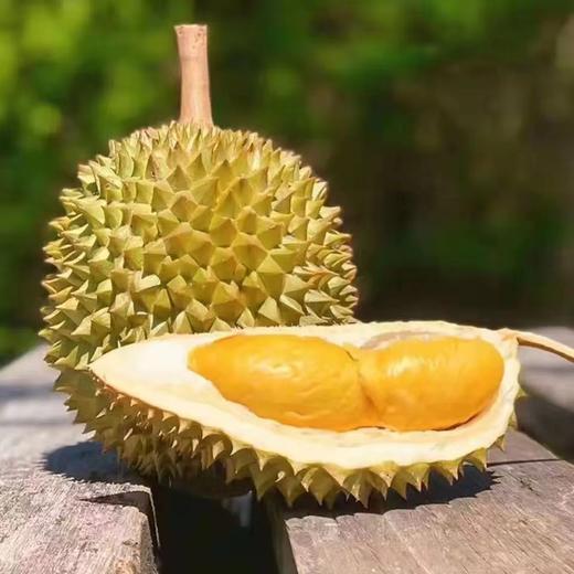 托曼尼巴掌榴莲（2斤左右） 商品图0