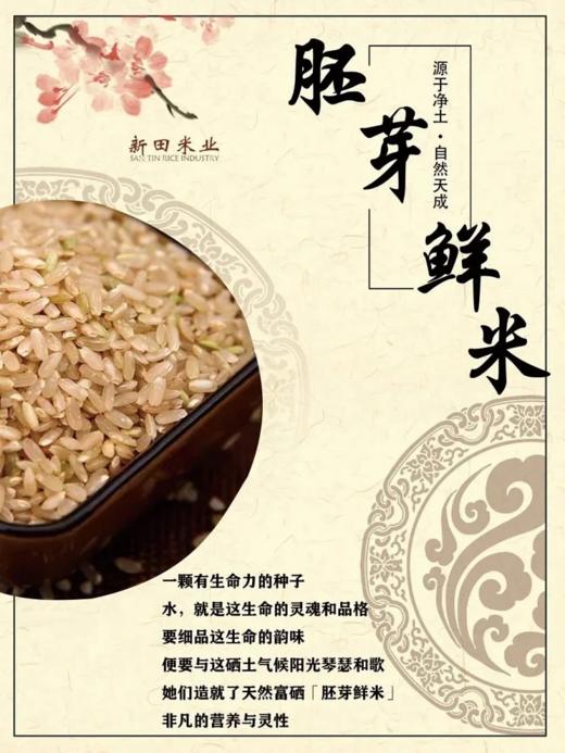 新疆大米 察农胚芽鲜米5斤装 商品图5