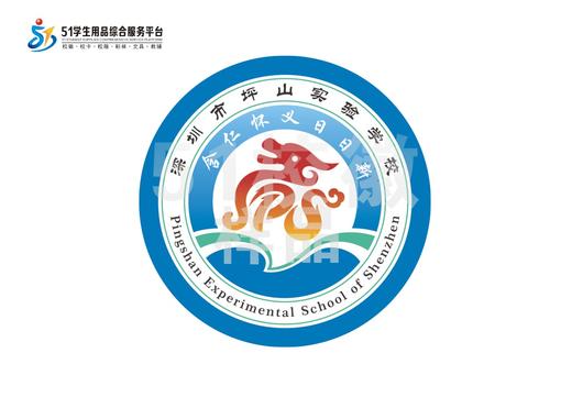通版定制深圳市坪山实验学校校徽姓名贴布章可缝烫现货现发51 商品图4