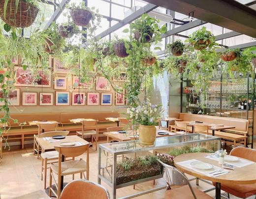 在武康路上的绿野仙踪 商品图1