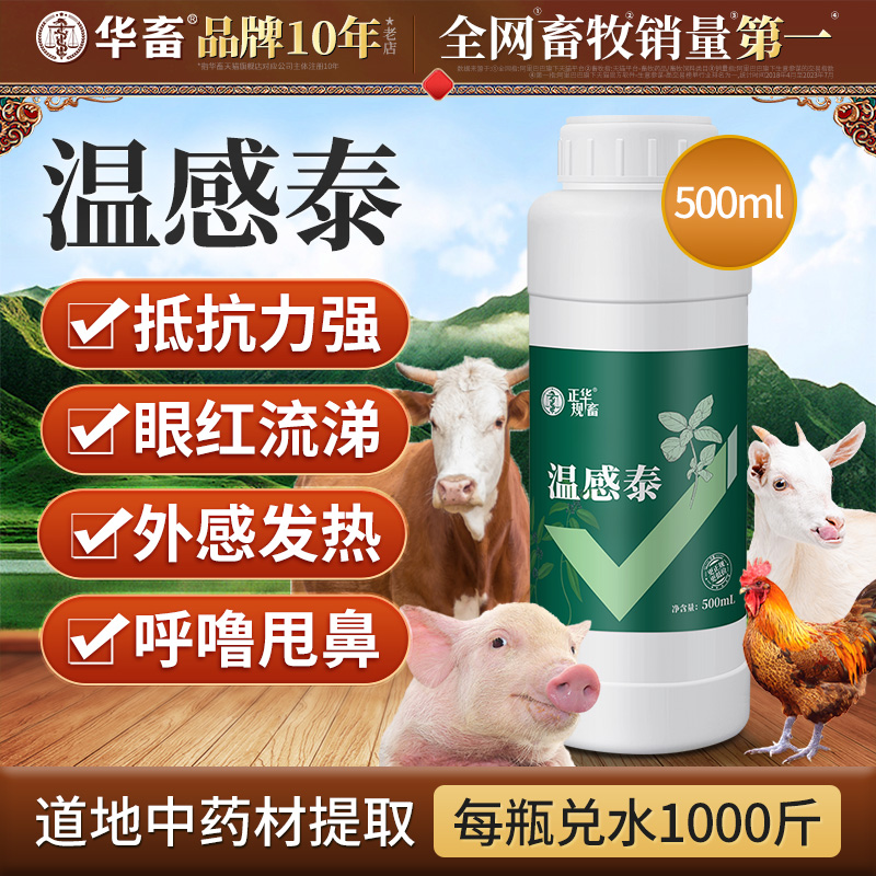 华畜温感泰500ml猪牛羊用外感发热呼噜甩鼻Z