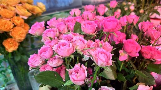 闪烁新娘多头泡泡玫瑰5支 商品图0