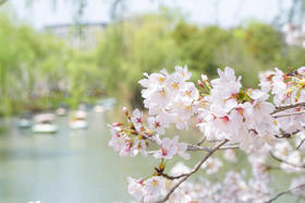 还没到夏天就悄悄晒黑了？一个方法教你悄悄变白