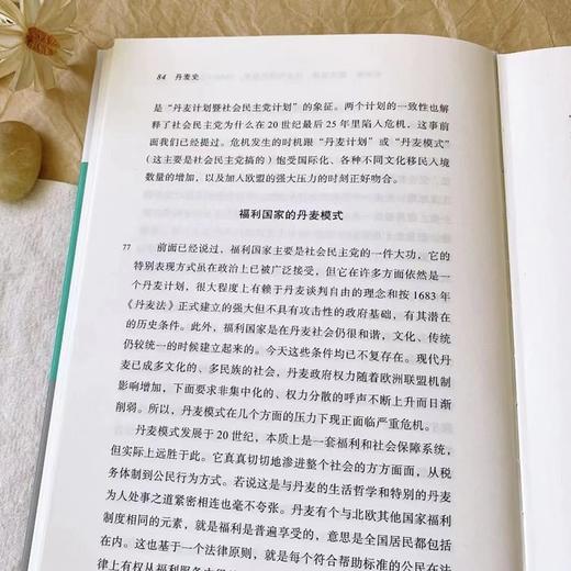 丹麦史(区域国别史丛书) 商品图4