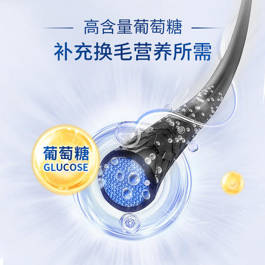 bungener博根拿猫犬通用固毛膏猫狗美毛防掉毛滋养发根促进毛生长犬猫通用 商品图1