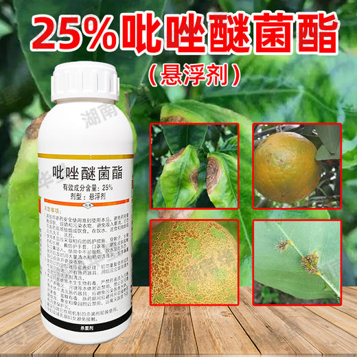 正品25%吡唑醚菌酯脂强力杀菌剂大斑病农药防治作物病害美果靓果 商品图2