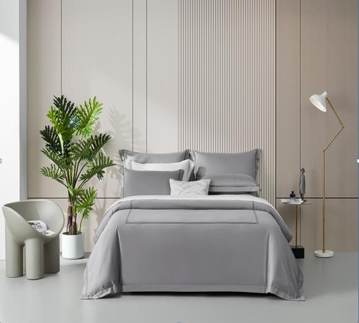 恐龙 RDY2303-4 德芮尔 商品图0