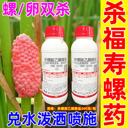 正品42%杀螺胺乙醇胺盐福寿螺专用灭螺杀螺水稻田沟渠强力杀虫剂 商品图4