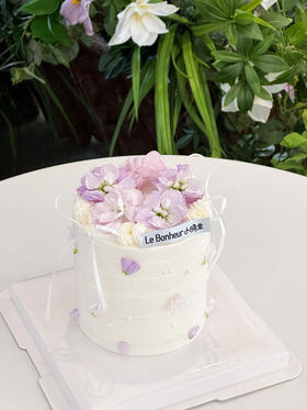 笑靥如花·奶油蛋糕