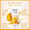 【香港直邮】德国进口维蕾德Weleda金盏花护臀膏婴儿护臀霜75ml 商品缩略图2