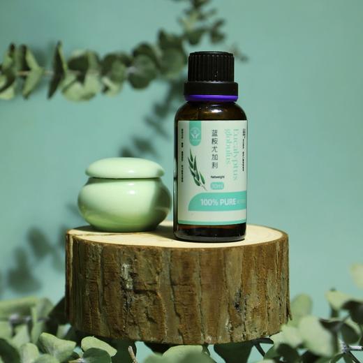 菜头商城植物精油（5款可选）任购三瓶即赠一只精油宠物 商品图5