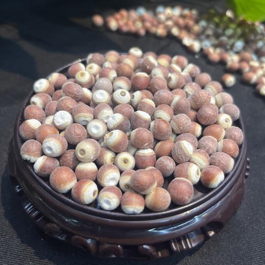 云南高原大圆颗粒芡实 400克/瓶 商品图3