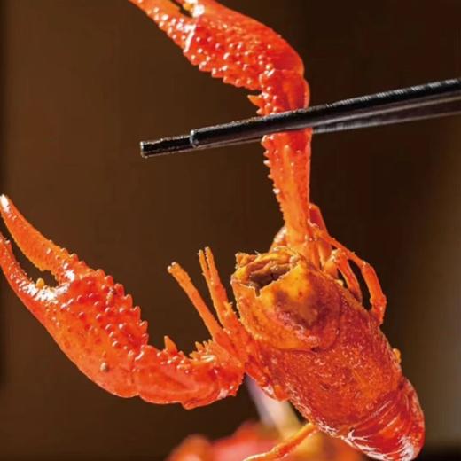 【湖面贵族佑晨光】清水炮头虾598型750g 商品图2