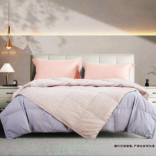 鑫缘 可水洗大朵白羽绒被 EYPA0220 商品图3