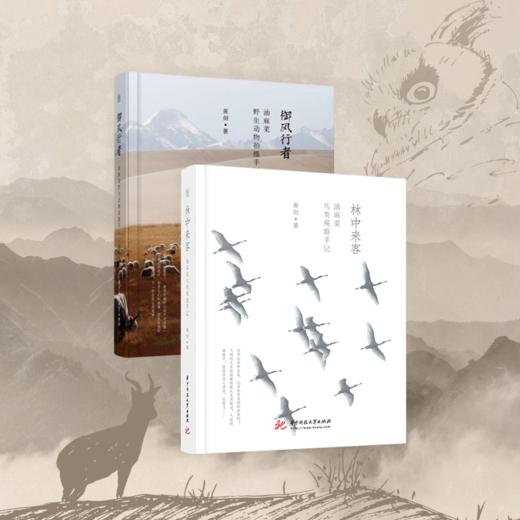 《御风行者》野生动物拍摄手记+《林中来客》鸟类观察手记 油麻菜 商品图1