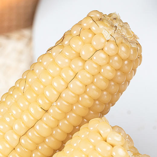 【产地直发】山西有机甜糯玉米 白/黑  220g*8 商品图4