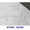 周中耀工笔画白描底稿竹子小品《清荫》临摹勾线高清打印稿YL31 商品缩略图4