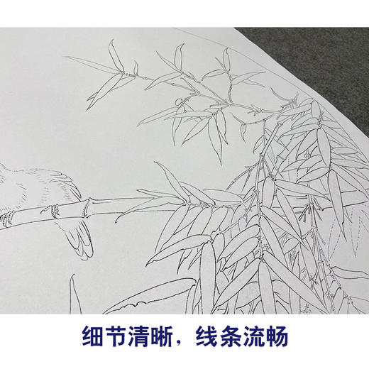 周中耀工笔画白描底稿竹子小品《清荫》临摹勾线高清打印稿YL31 商品图4