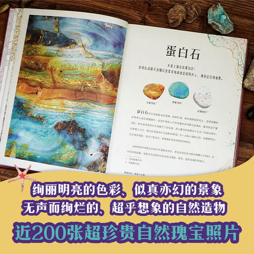 DK典藏博物馆 DK50周年特别纪念版(全6册) 商品图7