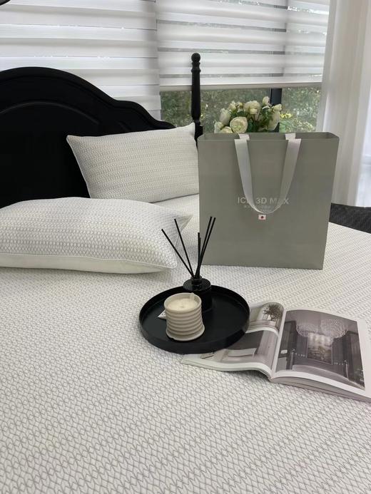 日本ICE 3D Max软凉席 皇室御用凉席（预售五天） 商品图2