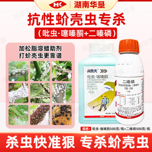 抗性介壳虫专用决胜天吡虫啉噻嗪酮蚧壳虫杀虫剂吡虫噻嗪酮二嗪磷 商品图4