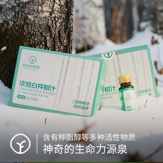 【2024头道浓缩白桦树汁】通过SGS低GI认证 308项农残0检出 欧盟有机认证】50ml*8支/盒 商品图1