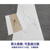 于非闇工笔画白描底稿《玉兰鹦鹉》临摹勾线高清打印稿YL28 商品缩略图1