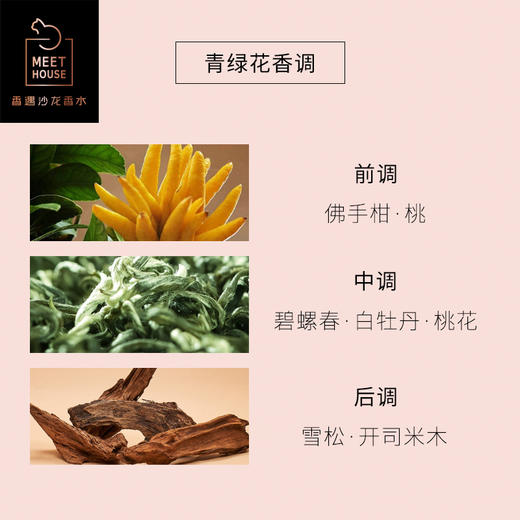 冷萃清茶50ml 100ml 商品图2