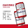 18罐 小罐百威啤酒330ml*18罐 商品缩略图1