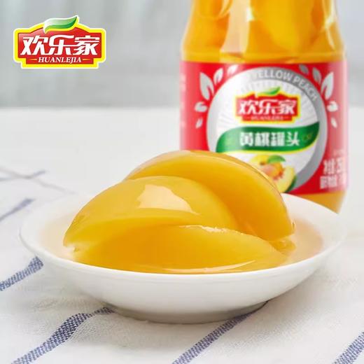 欢乐家罐头食品256g/瓶 商品图2