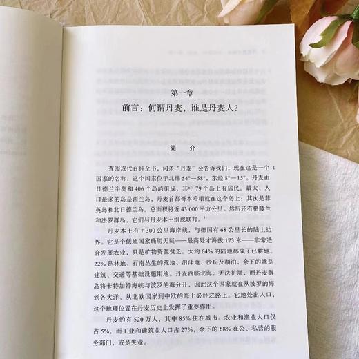 丹麦史(区域国别史丛书) 商品图3