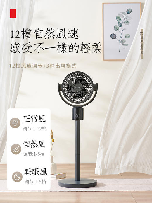 Forestlife落地DC直流循环扇FLE-DC2109黑色 商品图2