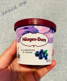 哈根达斯蓝莓味冰激凌81g