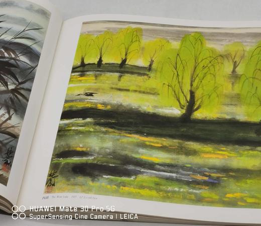 《林风眠画集》，林风眠绘，李霖灿序，12开，平装，收林风眠先生晚期精品94幅，历史博物馆1989年10月初版。238元。 商品图9