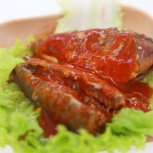 茄汁鲭鱼罐头，18罐组合，番茄酱汁搭配鲜美鱼肉，传统工艺，精心熬制，骨刺酥软，鱼肉紧实，肉质肥美，老人小孩都可以食用，滋味醇香好下饭M 商品图2