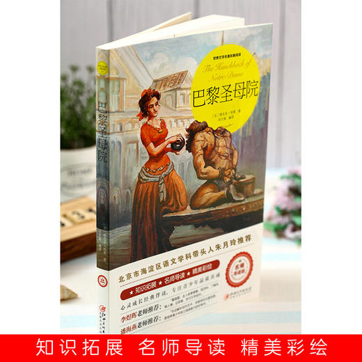 巴黎圣母院 商品图2