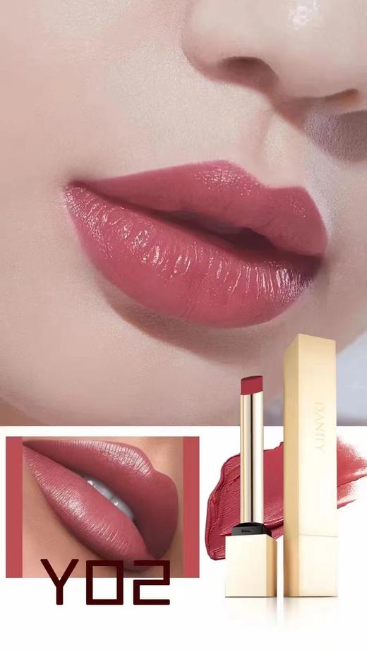 丹帝小金条丝绒唇膏-青春版Y05/Y04/Y03/Y02/Y01/版Y06 商品图5