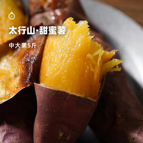  企鹅市集|河北太行山 甜蜜薯红薯5斤装（中大果） 太行山脉优秀品种 肉质细腻香甜