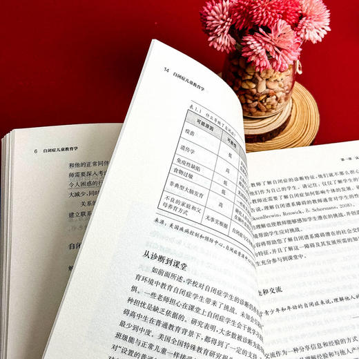 自闭症儿童教育学 普通班级青春期自闭症学生教学策略 特殊教育 商品图9