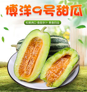 【秒杀预售】博洋9号羊角蜜 4.5斤净重大果精品