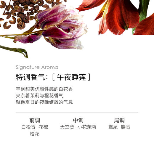 斐澳芮 意大利佛罗伦萨之花进口午夜睡莲沐浴露520ml 商品图3