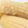 【产地直发】山西有机甜糯玉米 白/黑  220g*8 商品缩略图6