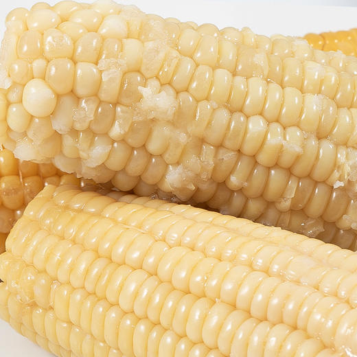 【产地直发】山西有机甜糯玉米 白/黑  220g*8 商品图6